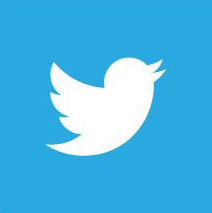 Social Icon